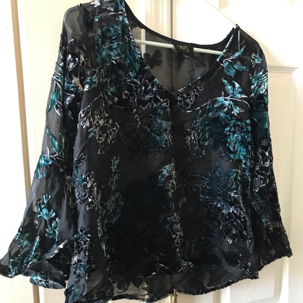 Beautiful sheer and velvet top